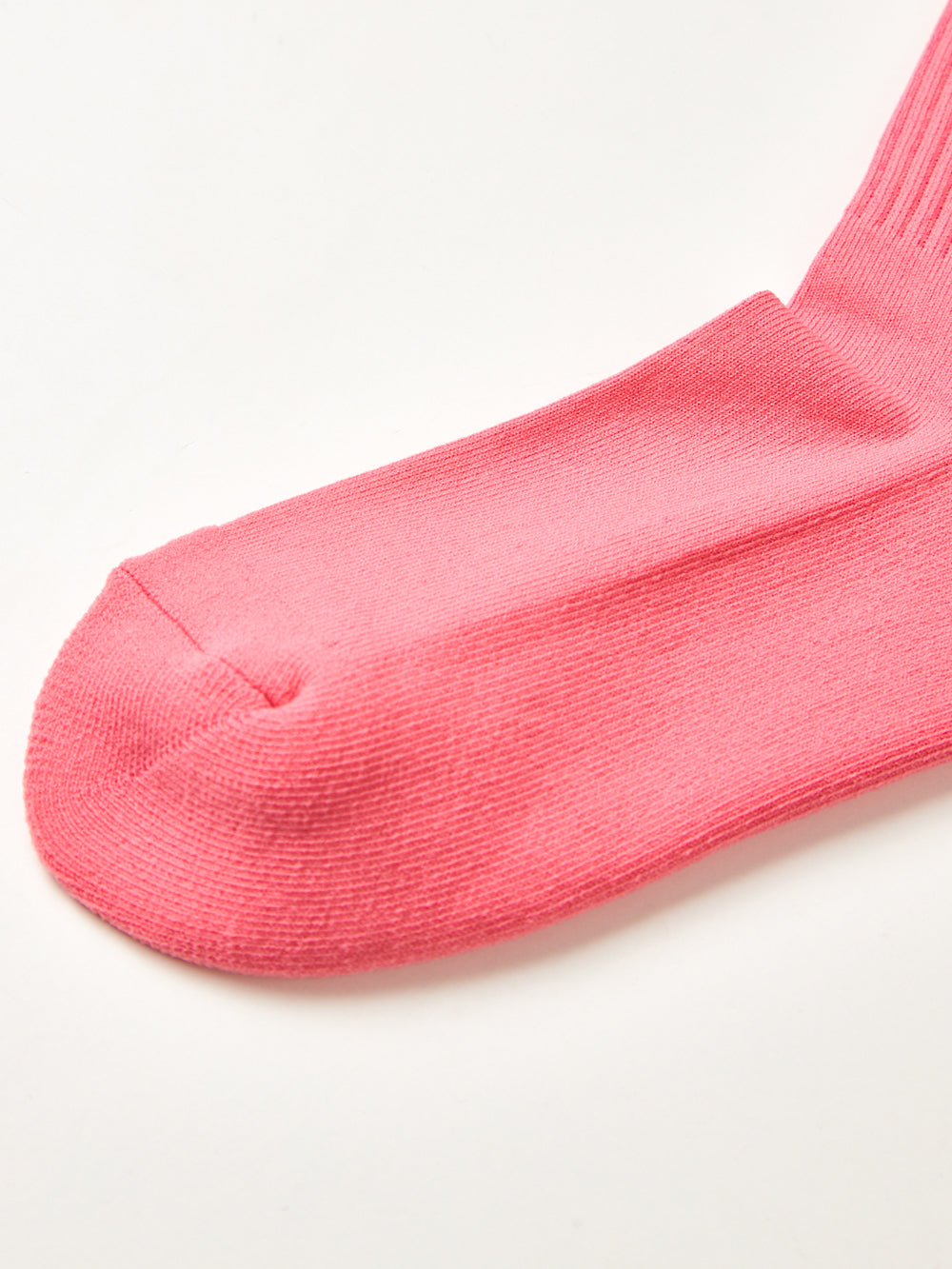 UTAA ロゴグローカラーソックス : Women's