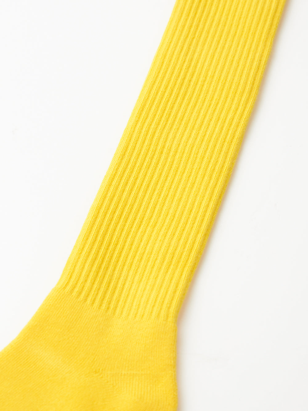 UTAA SimpleロゴKneeソックス : Women's