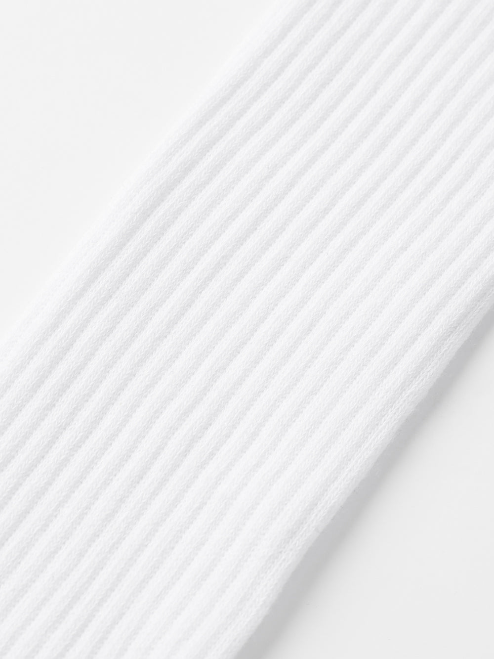 ユタ グロッシーエッジ パンサー ニーソックス : レディース