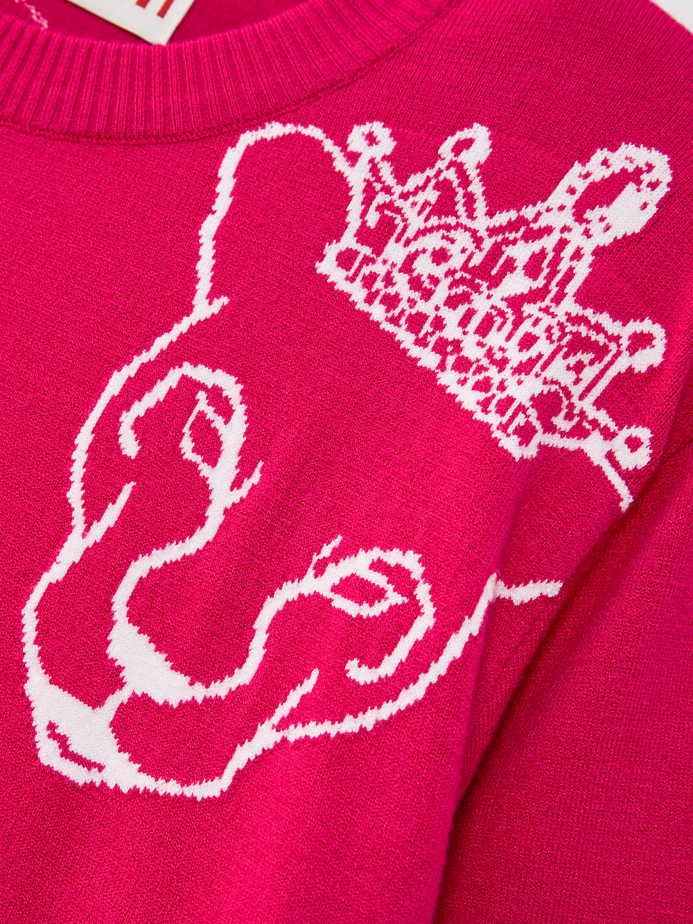 ユタ パンサーロゴミクススプラッシュニートプールオーバー (女性用)