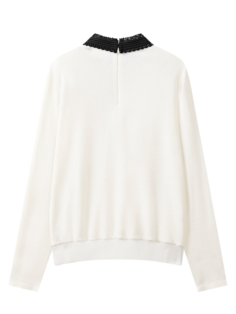 UTAA クリスタルリボンレースPKニット : Women's