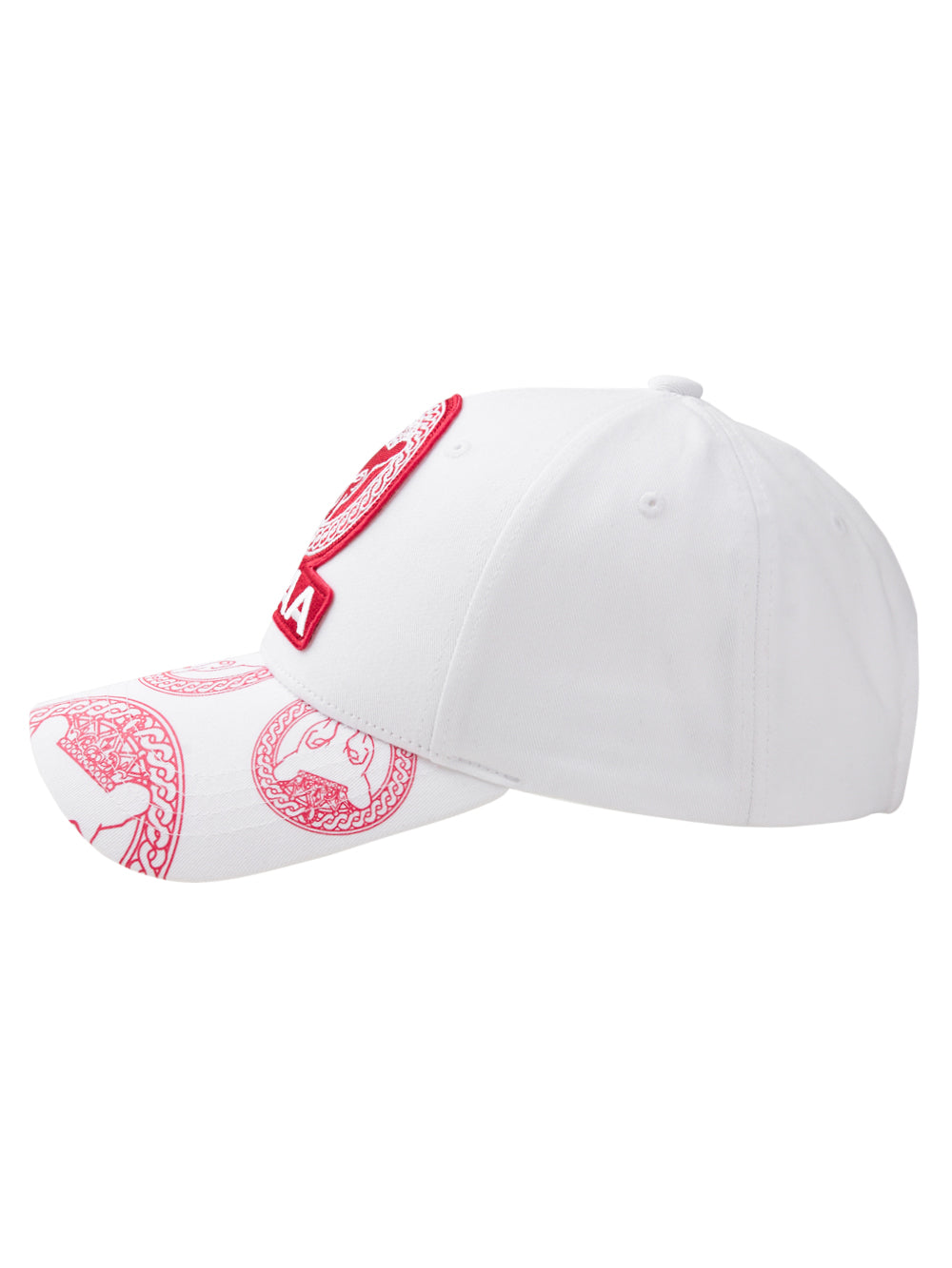 ユタ スクドリングパンサーキャップ